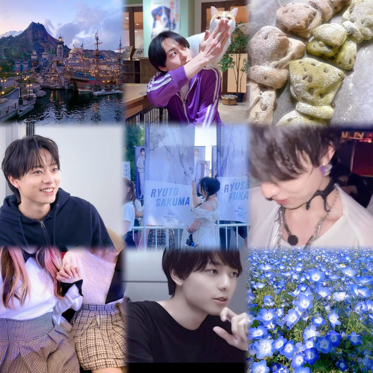sk__rio7's tweet photo. 作間龍斗くん😼💟詳しくはALTまで🍒

 #ACEes担と繋がりたい  #ACEeeと繋がりたい  #ACEeeさんと繋がりたい  #Jr担と繋がりたい  #ジュニア担と繋がりたい   #ジャニオタさんと繋がりたい https://t.co/djbtnWJ7df