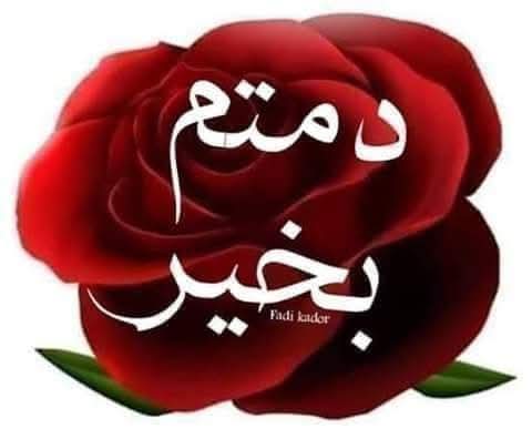 Yousra AlSHIKH tweet media
