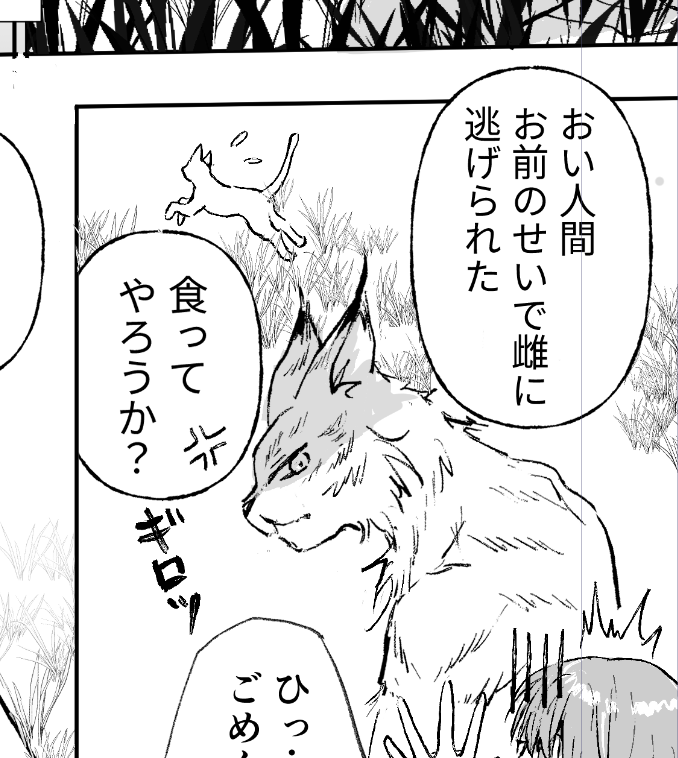 Post by くまきち on X: ネコ科獣人