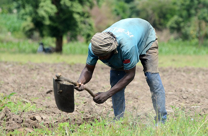 agridigitale1's tweet photo. Au Burkina Faso, préparatifs lancés pour la saison agricole https://t.co/tD3TP1qVys #burkinafaso @cherifa_zerbo https://t.co/p7XEWx8PT3