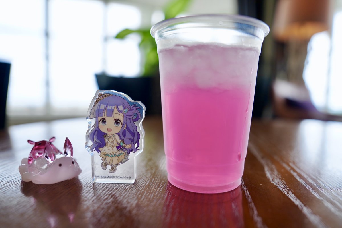 73_shion's tweet photo. ウメちゃんとお出かけ　♯10

天気が荒れていたからこそ得られた寛ぎの空間 https://t.co/WnFkv1ijea