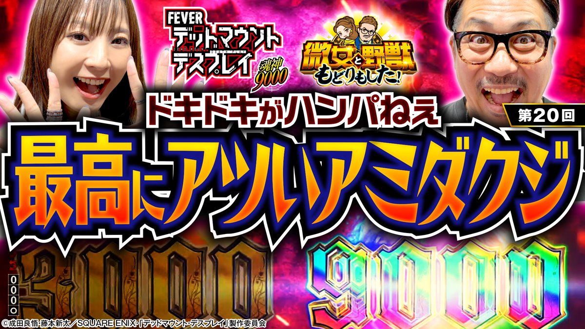 バチャンタイマイ♂♀標本★バチャン島産★♂66/72mm♀稀貴重・亜種別・美麗 バチャンタイマイ♂♀標本★バチャン島産★♂66/72mm♀稀貴重・亜種別・美麗