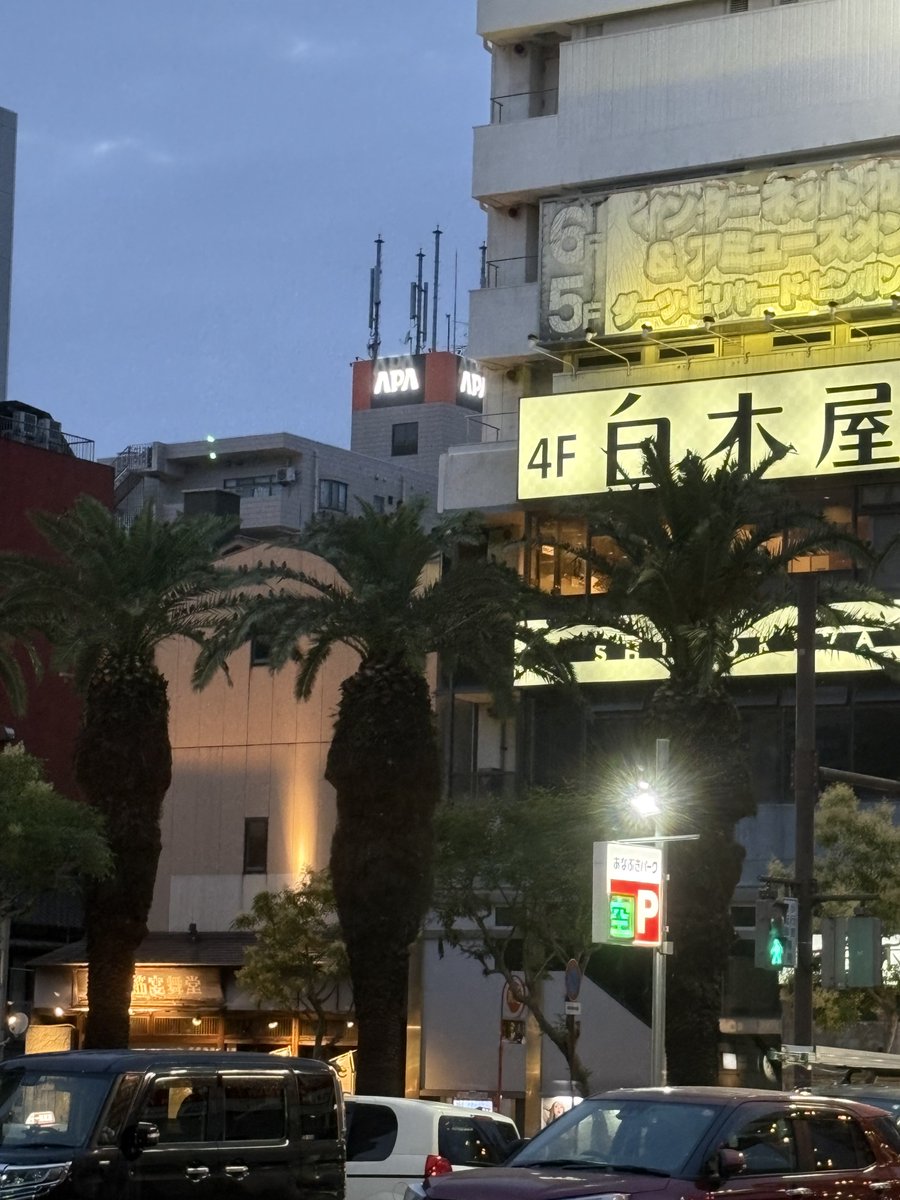 ALIVE1209ene's tweet photo. 大手筋のフェニックス(カナリーヤシ)さっぱりと散髪してる
どうりでムクドリが騒がしいわけだ😮‍💨

本日もALIVEまったりオープンです！ https://t.co/7o7QmttVaG