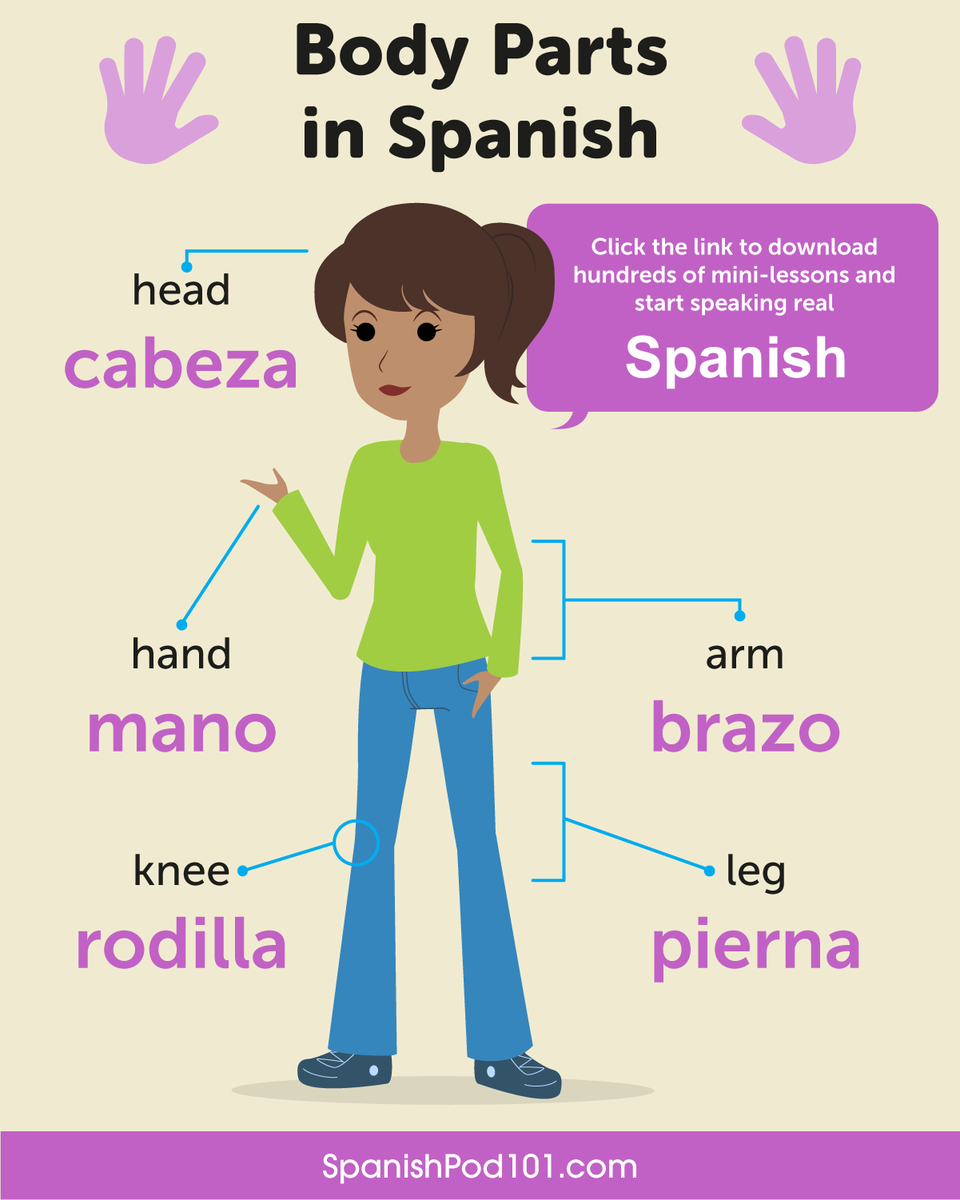 spanishpod101's tweet photo. 👤 QUIZ TIME!
How do you say "body" in Spanish?
A. la mano
B. el cuerpo 
C. la cabeza
👇 Comment your answer below!

P.S. Click here to download your Free 2000 Spanish Words for everyday life eBook: https://t.co/oVML3lGwlU https://t.co/1fdu1eyoOD