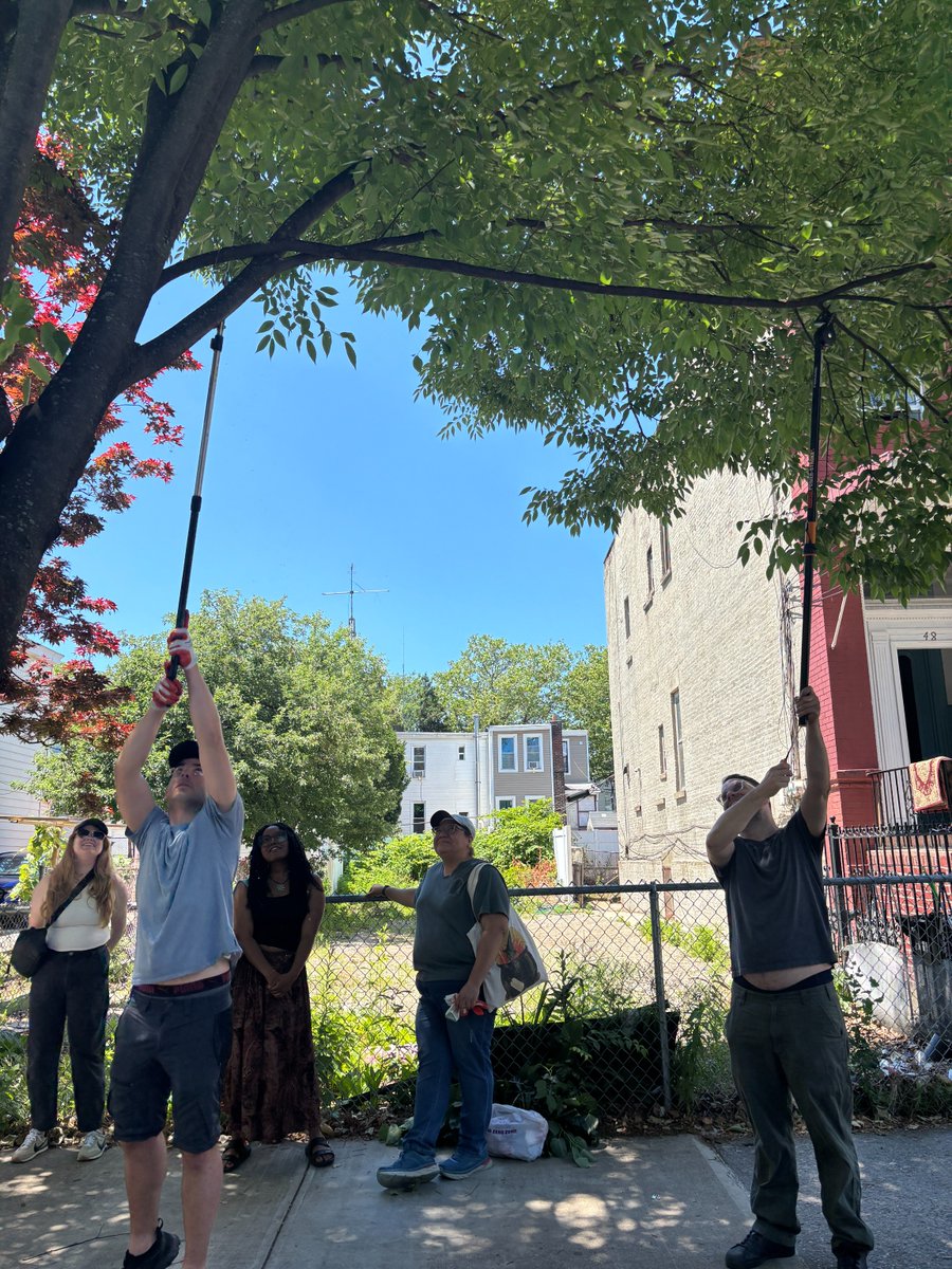 TreesNewYork's tweet photo. Thank you to @CMSandyNurse for hosting a Trees New York #CitizenPrunerCourse in District 37! This weekend, students put their goggles on to help care for #streettrees in Bushwick. Their #pruning efforts ensure our #treecanopy remains healthy and thriving! https://t.co/dGiMTRf4x3