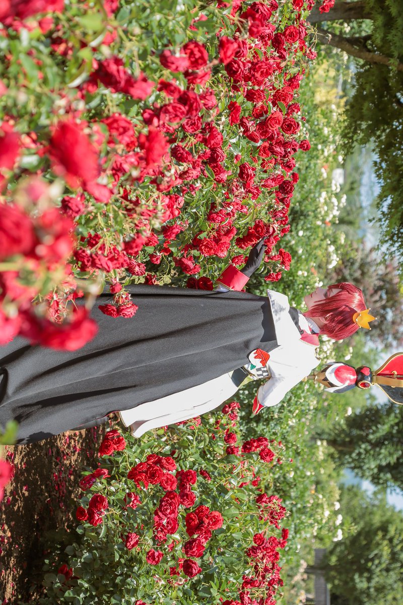 gimoobu_'s tweet photo. *cos/twst

リドル・ローズハート

photo:@usakouphoto0717 https://t.co/k7kTG0y3hP