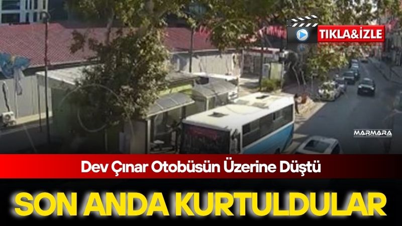 Marmarablg's tweet photo. 📌Son Anda Kurtuldular
https://t.co/f3wWIYboI4 https://t.co/T23MefCoqS