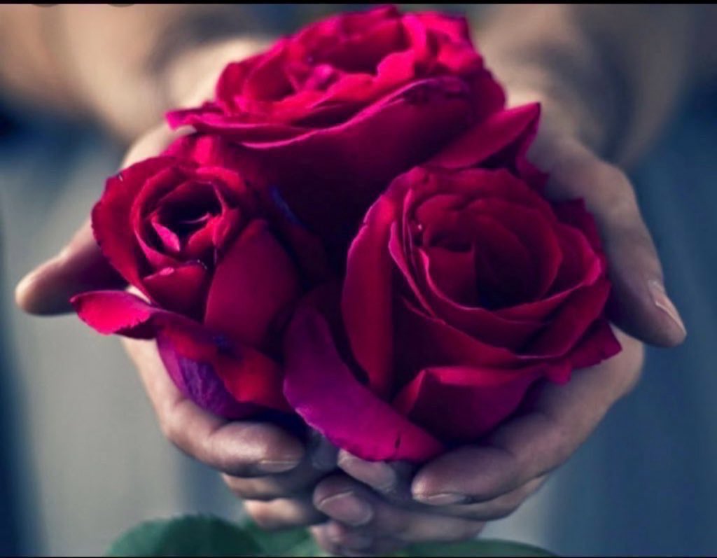fofa_1099's tweet photo. @tulipt712 يسعد مسا صاحبة الإطلالة الساحرة، والحضور الطاغي الذي يغمر الأرواح بالفرح وينشر البهجة دائماً.
.
#توليب ♡ 🌸🕊️ https://t.co/iHomxSSpAE