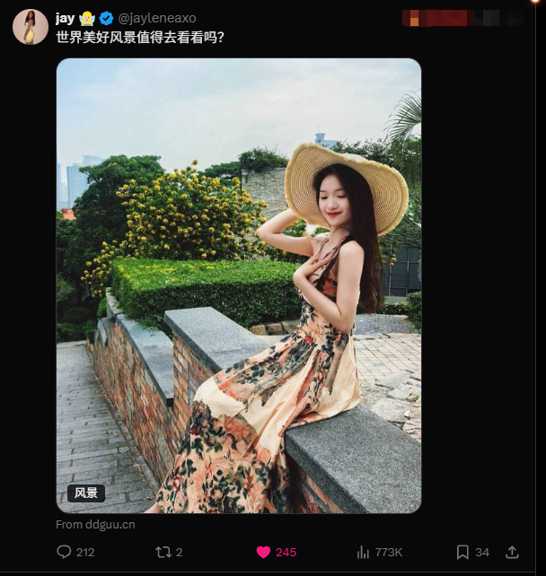 一飞冲天 tweet media