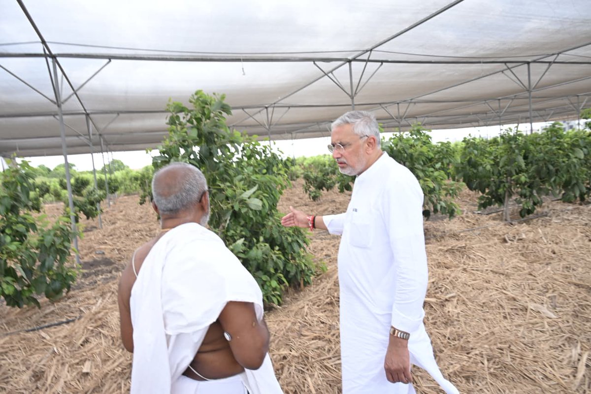 BJP4Gujarat's tweet photo. પ્રદેશ અધ્યક્ષ શ્રી @iJagdishBJP એ આજે ગોંડલ સ્થિત અક્ષર મંદિર પરિસરની મુલાકાત લીધી અને ત્યાં થતી પ્રાકૃતિક ખેતીનું પ્રત્યક્ષ અવલોકન કર્યું. 

આ અવસરે પ્રદેશ અધ્યક્ષશ્રીએ ધરતી માતાના સ્વાસ્થ્ય અને માનવ કલ્યાણ માટે સૌને પ્રાકૃતિક ખેતી અપનાવવા અપીલ કરી. https://t.co/4kPPtj6O1g