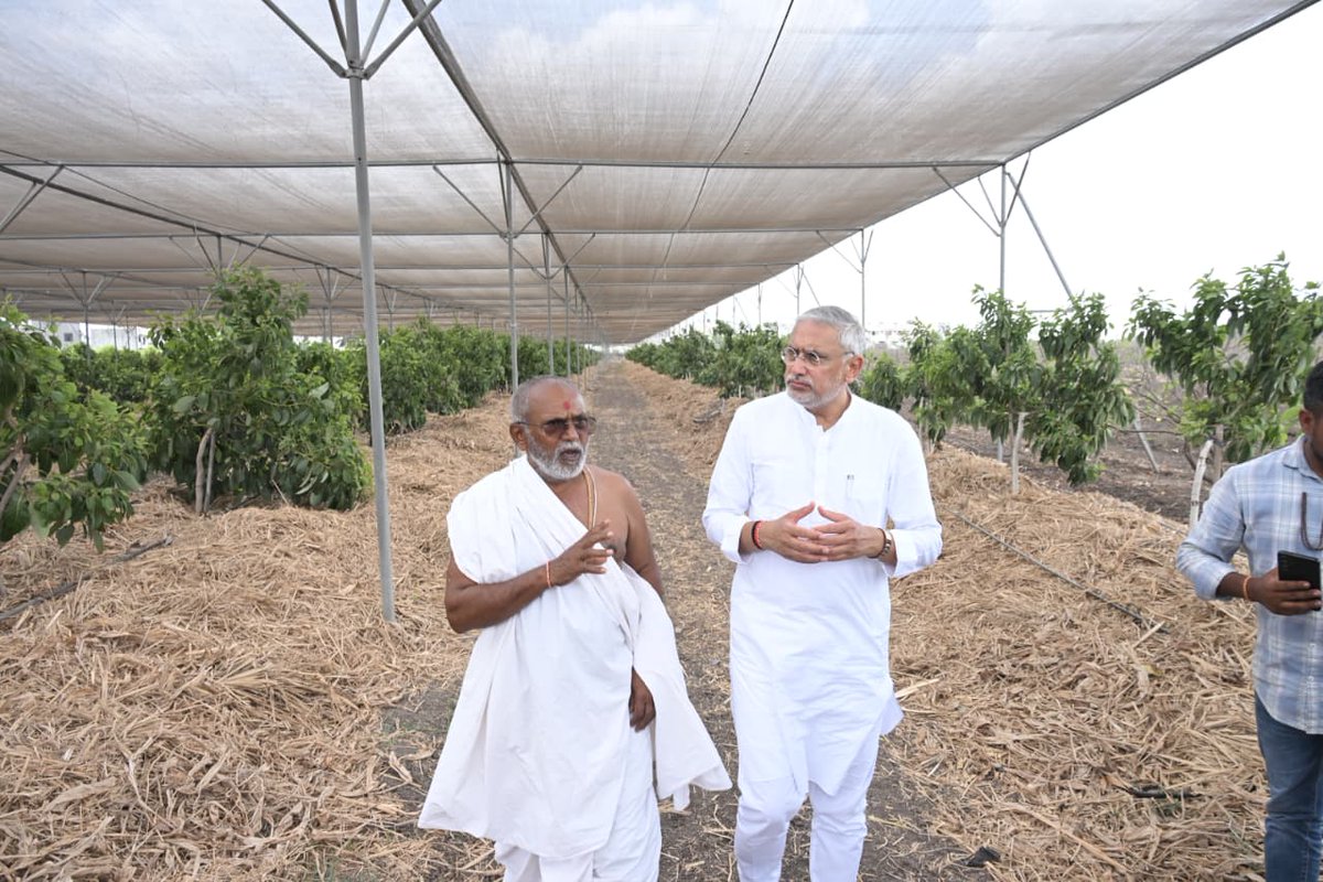 BJP4Gujarat's tweet photo. પ્રદેશ અધ્યક્ષ શ્રી @iJagdishBJP એ આજે ગોંડલ સ્થિત અક્ષર મંદિર પરિસરની મુલાકાત લીધી અને ત્યાં થતી પ્રાકૃતિક ખેતીનું પ્રત્યક્ષ અવલોકન કર્યું. 

આ અવસરે પ્રદેશ અધ્યક્ષશ્રીએ ધરતી માતાના સ્વાસ્થ્ય અને માનવ કલ્યાણ માટે સૌને પ્રાકૃતિક ખેતી અપનાવવા અપીલ કરી. https://t.co/4kPPtj6O1g