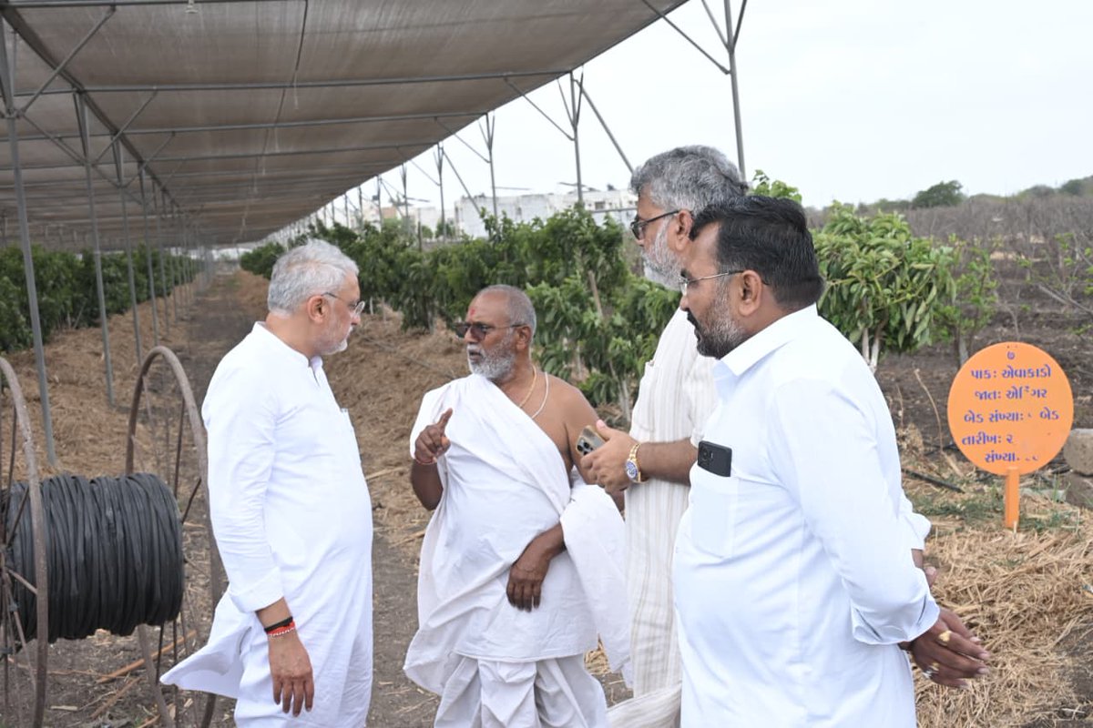 BJP4Gujarat's tweet photo. પ્રદેશ અધ્યક્ષ શ્રી @iJagdishBJP એ આજે ગોંડલ સ્થિત અક્ષર મંદિર પરિસરની મુલાકાત લીધી અને ત્યાં થતી પ્રાકૃતિક ખેતીનું પ્રત્યક્ષ અવલોકન કર્યું. 

આ અવસરે પ્રદેશ અધ્યક્ષશ્રીએ ધરતી માતાના સ્વાસ્થ્ય અને માનવ કલ્યાણ માટે સૌને પ્રાકૃતિક ખેતી અપનાવવા અપીલ કરી. https://t.co/4kPPtj6O1g