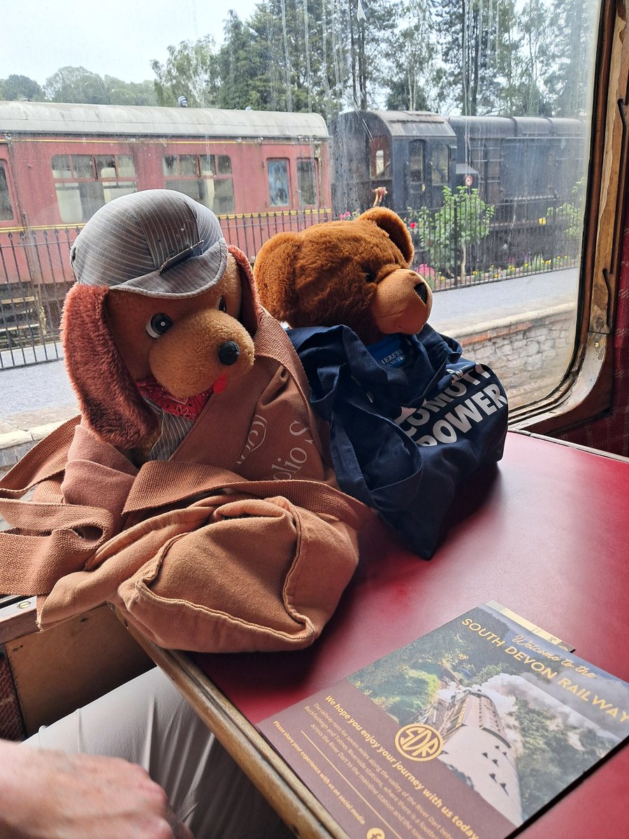 CaseyJonesA4's tweet photo. @The South Devon Railway  Brought Nigel with us. @railwaybear @BenjaminBus1 @FredTedOlga @georgeteddy15 @GresleyDragon @CousinScrappy https://t.co/B1J5hNrdaP