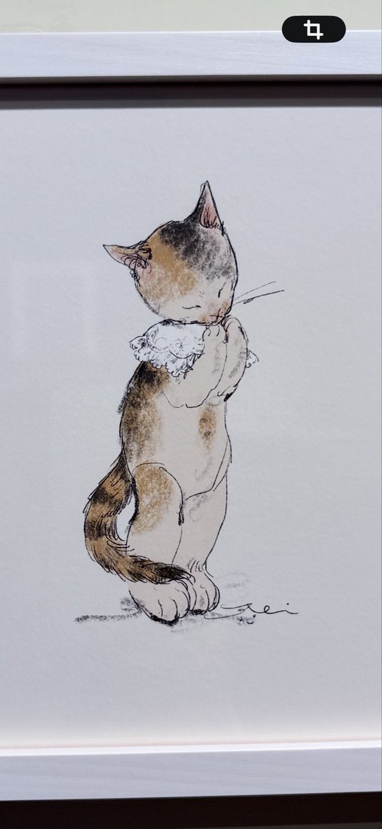 tokyoartmuseum's tweet photo. くらはしれい展（6/29まで）
＠MATSUYAGINZA100 

「猫はいつも耳から描き始める」というイラストレーター・絵本作家、くらはしれいの活動10周年を記念した展覧会。女の子や猫をモチーフにした作品で知られます。手描きのような温かみのある画風ですが、制作にはiPadも活用。  

会場では、AからZまでのキーワードを切り口に作品を紹介。さまざまな構図のイラストが並び、愛猫のトトも登場。さらに、絵本や衣装展示、映像演出などを通して、くらはしれいの世界観を立体的に楽しめる構成に。  

どこか懐かしさを感じさせる色彩や物語性は、『不思議の国のアリス』を思わせる雰囲気。まるで古い絵本の中に迷い込んだような気分になれる展覧会です。

ノスタルジックでかわいらしい、くらはしれいワールド全開の展覧会でした。

https://t.co/gBKxN96jW4