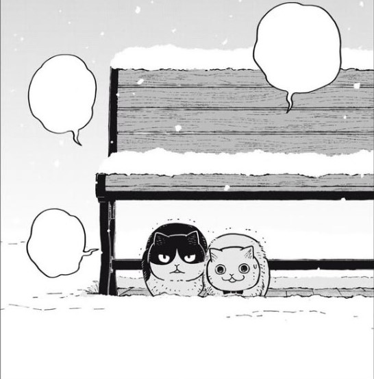 UnsureDisaster's tweet photo. Obra donde Ries, donde te agobias, donde aprendes mucho sobre la vida de los gatos en la calle.

La conexión que hay entre hachi y maruru en cada tomo, es el corazón de este manga en cada tomo solo quieres saber más y más. 

Si te gustan los michis no puede faltarte! https://t.co/XkyDvjiEsM