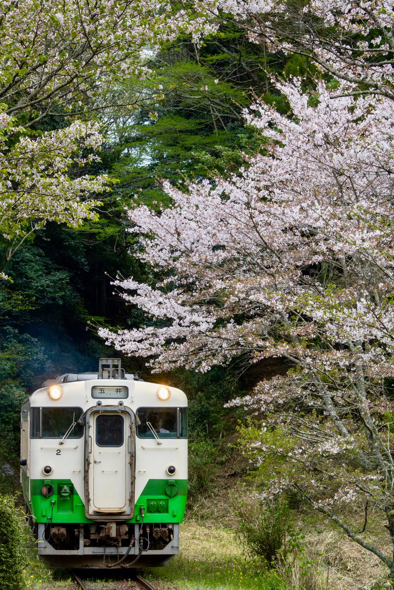 Ohatoti's tweet photo. 小湊お遊び https://t.co/RTE9cezHIF