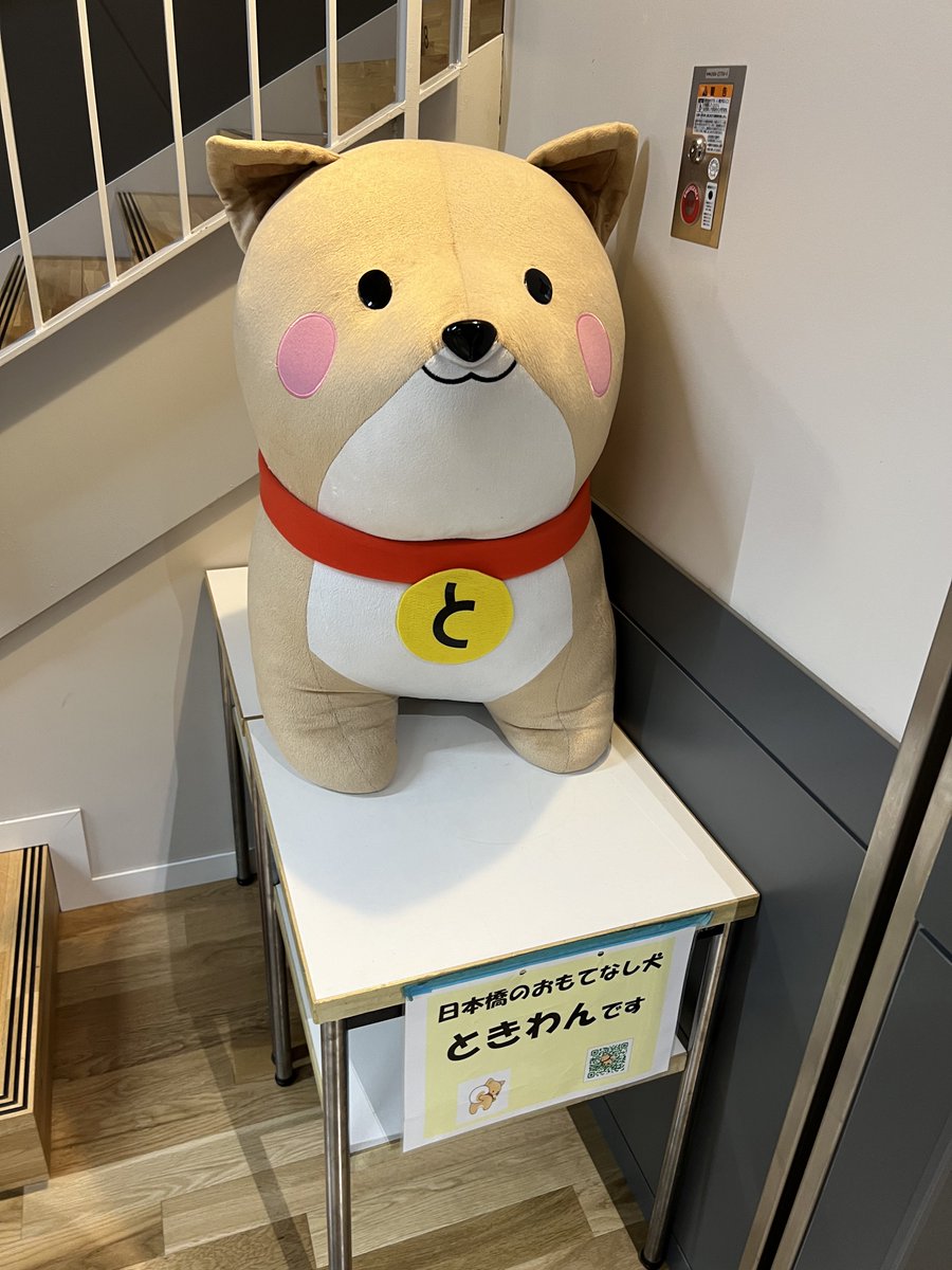 auspicious_wind's tweet photo. 東京駅徒歩5分にある、中央区立小学校内の公営プール、ヤエスク最高だった
1時間300円から仕事終わりに泳げるのマジでいい https://t.co/QXTyY26wAM