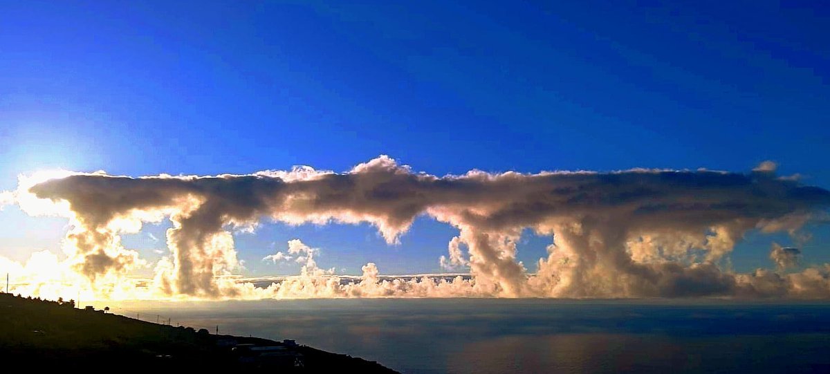 abernabegozo's tweet photo. HOY, EL SOL, FRENTE A LA PALMA, HA PREPARADO SU MESA PARA DESAYUNAR. 🤣 La naturaleza, en cualquier circunstancia, conserva el sentido del humor. PUES TÚ NO LO PIERDAS TAMPOCO. 😂 Que pases un feliz y maravilloso miércoles. 😃🍀🪷🌿🤗 https://t.co/q6FNaqlmRN