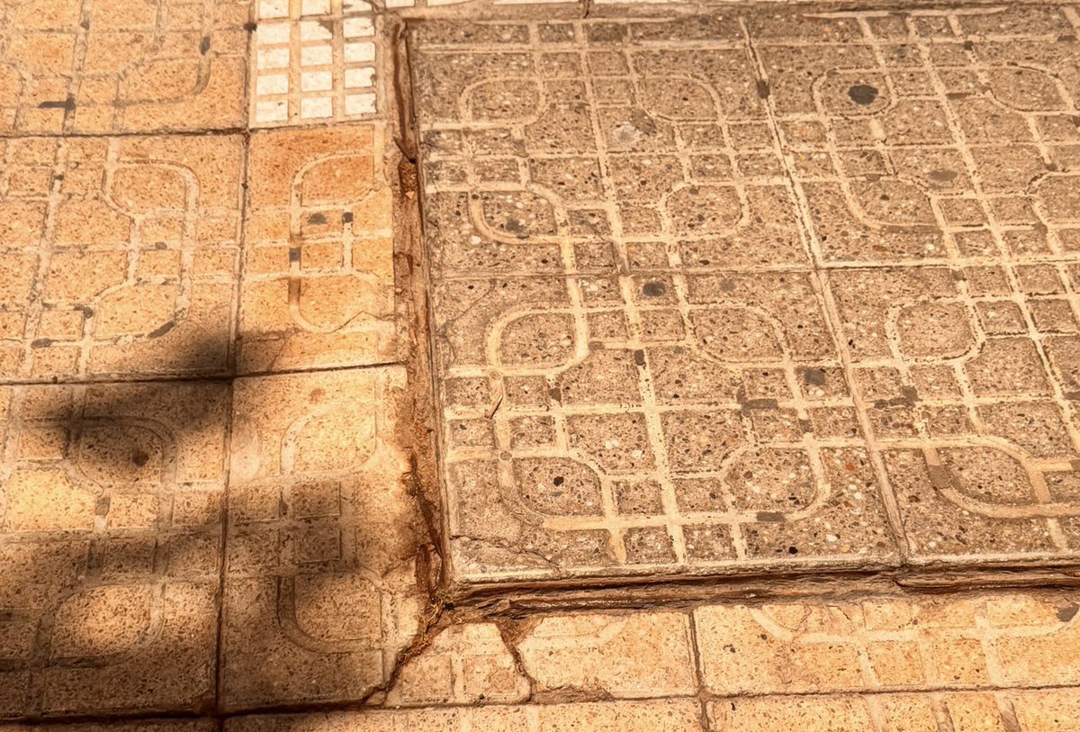 Vox_Almeria's tweet photo. 🗣️ @Manuelamivox preguntó en pleno si “se estaban haciendo inspecciones periódicas y labores de mantenimiento sobre arquetas y elementos metálicos existentes en Almería”.

Además, también quiso saber si “se tiene un plan de actuación previsto para corregir las deficiencias”. https://t.co/34BPwYIsnk