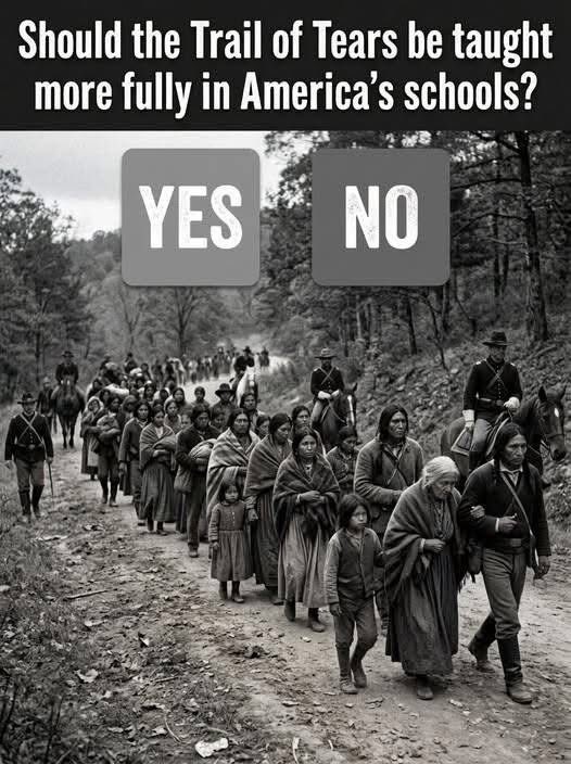 Native American Pride tweet media