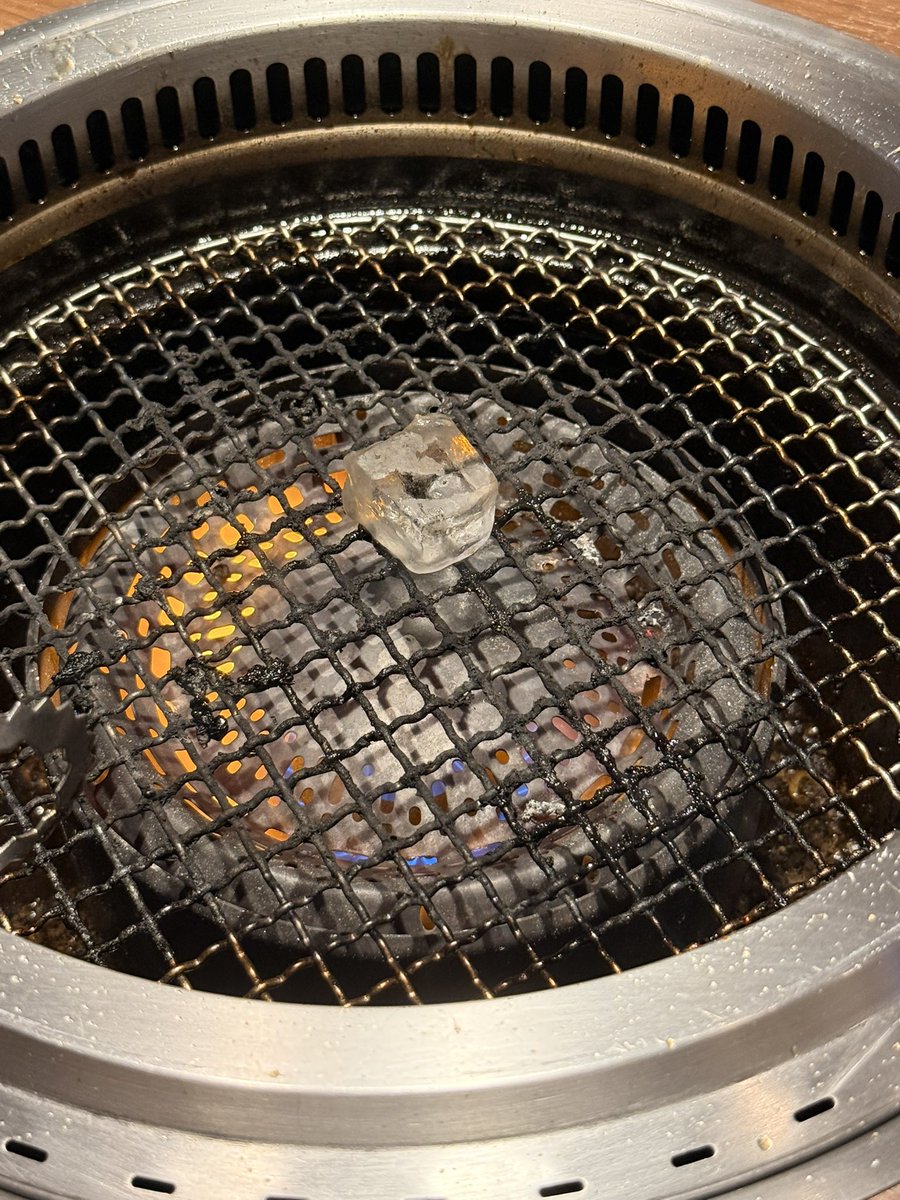 な魚 tweet media