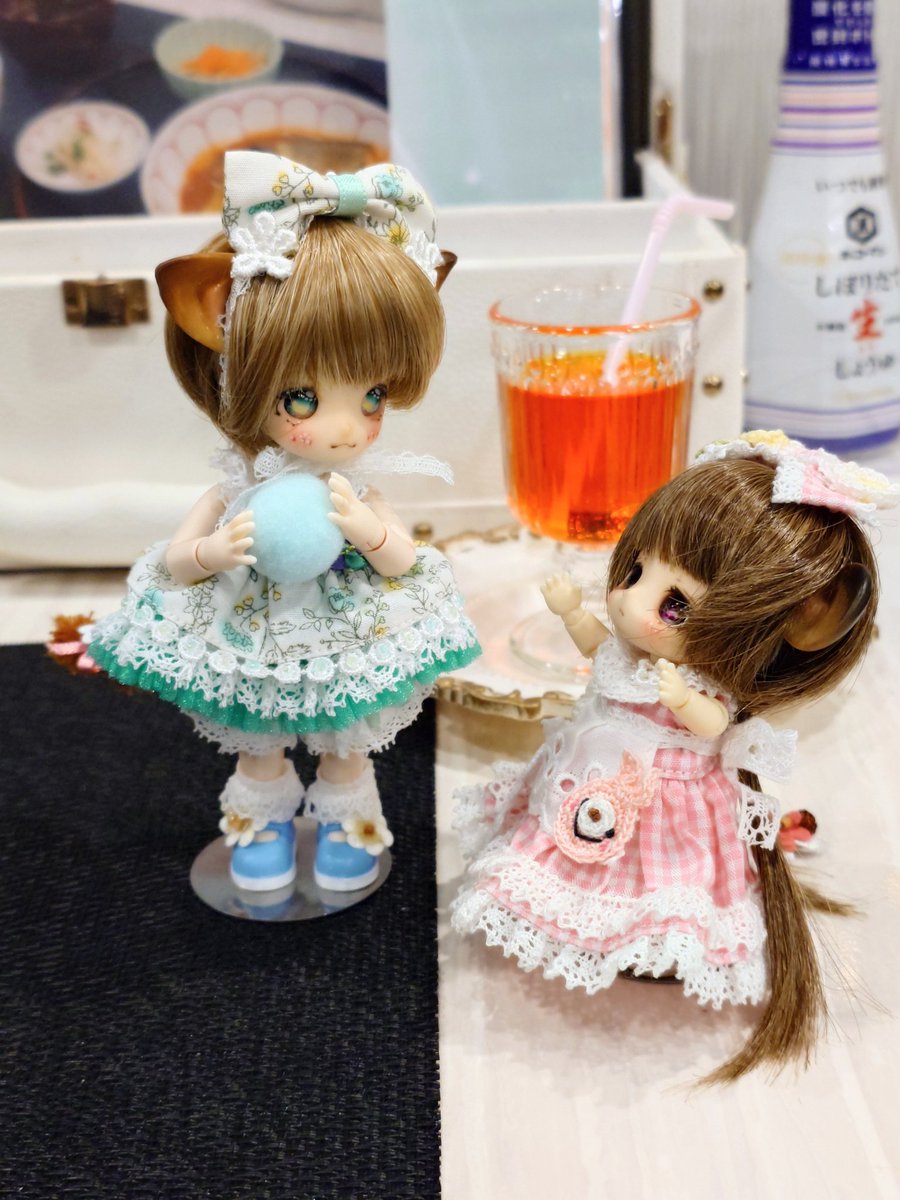 まりもね 😺これはあげないニャ！ 🐹💦