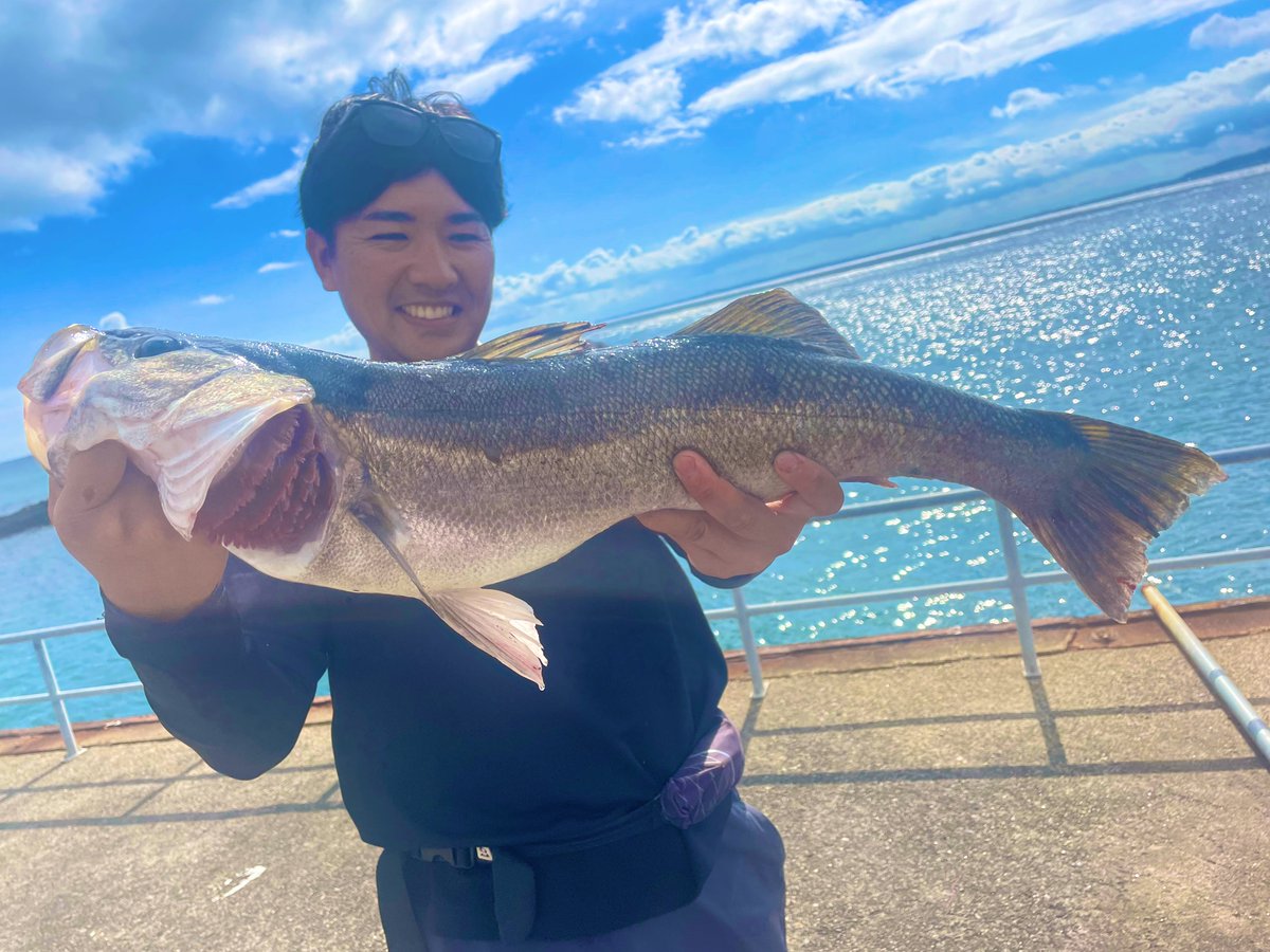yoonishi3's tweet photo. 房総半島に突如現れた謎の堤防がすごい！
1日1組限定の貸切釣り場だから開放的に釣りが楽しめる。さらに釣れる魚も規格外！巨大なマダイやアオリイカ、昼間からスズキまで釣れるまさに釣り人の楽園がここにありました。太平洋の大パノラマを眺めながら食べるガーリックシュリンプは最高です…！【金谷:ゴールデンシュリンプ】