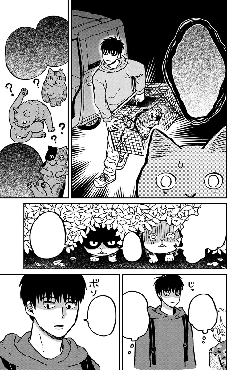UnsureDisaster's tweet photo. Obra donde Ries, donde te agobias, donde aprendes mucho sobre la vida de los gatos en la calle.

La conexión que hay entre hachi y maruru en cada tomo, es el corazón de este manga en cada tomo solo quieres saber más y más. 

Si te gustan los michis no puede faltarte! https://t.co/XkyDvjiEsM