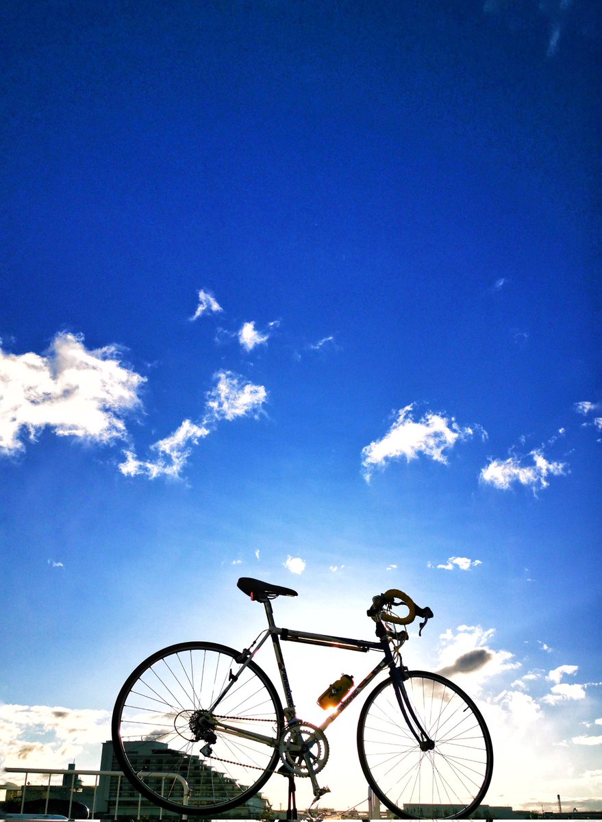 shakekanwel's tweet photo. 光の風
横なぐりに受けて

光輝の景色を皆さまへ🌬️🤗 https://t.co/sq3pKEDtZm
