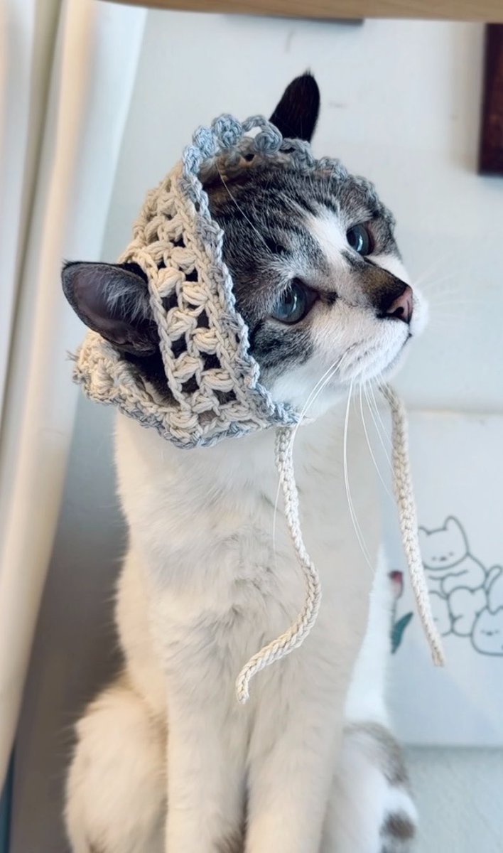 piennekomint's tweet photo. よこがおとてもかわいい(ᵕ⩊ᵕ̩̩ ) https://t.co/rUUs2tKJ0Z