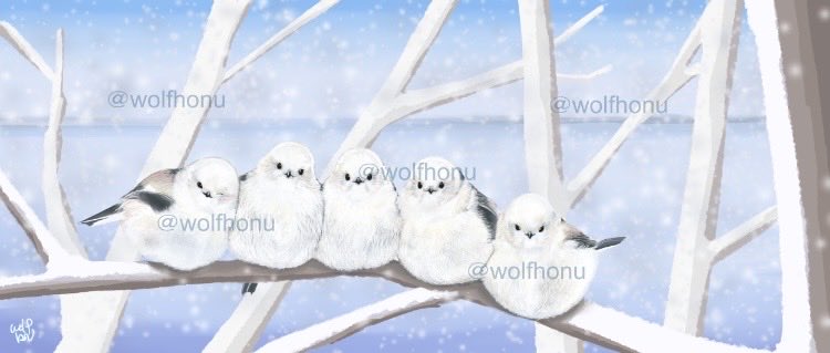 wolfhonu's tweet photo. 『Long-tailed Tit』
シマエナガ https://t.co/iYGpk7pAhZ