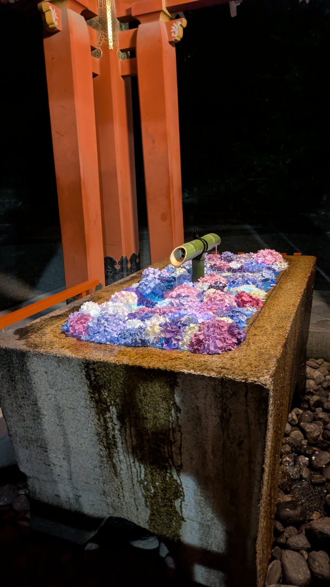qiro_4q's tweet photo. 鎌倉八幡宮の手水舎、紫陽花綺麗、何か光ってます。 https://t.co/V1pKSOywMa