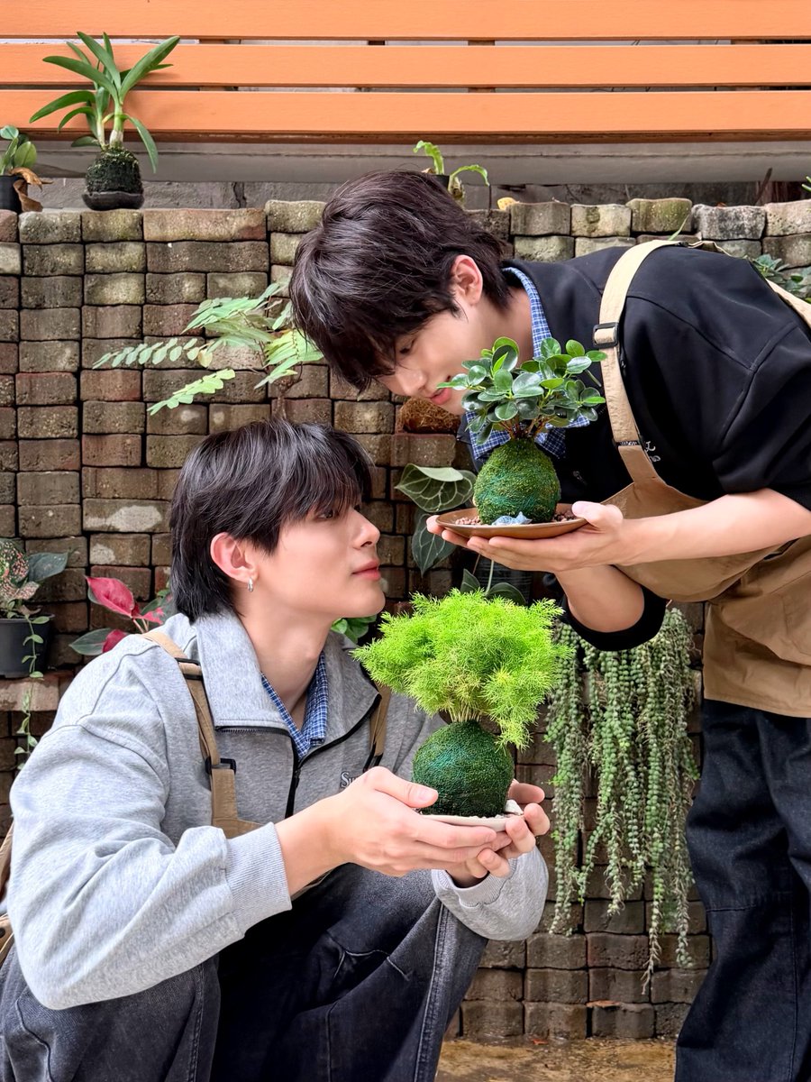 mii_iin_'s tweet photo. ปลูก kokedama กันคับ
#toptapminlee
#PAYBACKTheSeries https://t.co/nDt9YS0xFQ