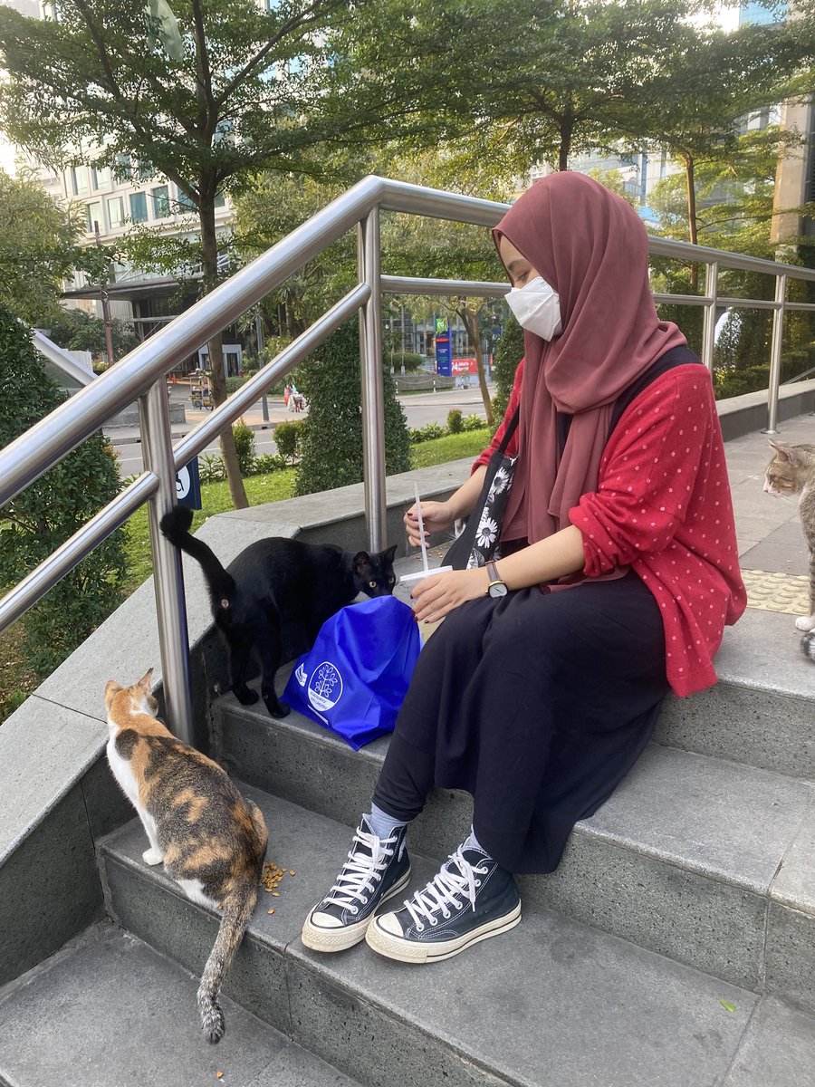 DNothing96672's tweet photo. Sudah lama ngga lewat MRT Dukuh Atas, kira-kira sekarang apa masih ada kucing-kucing lucu ini gak yaaa? 🐈🐈‍⬛🐱🐱 https://t.co/mdewzRjVcv