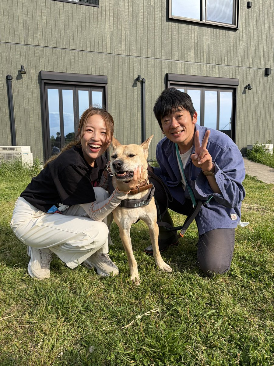 little_mamy_19's tweet photo. 高知からやってきたコジロウ＆ベリー❣️🐶
保護された経緯は、YouTubeで紹介しています✨
https://t.co/Lh7jme7CCJ

久保田先生のところにいたコジロウとベリーは、本当に可愛くてやんちゃで、毎日2人に癒されています🐶
もうすっかりさかがみ家になじんでいます😆 https://t.co/1V9QGfXPcZ