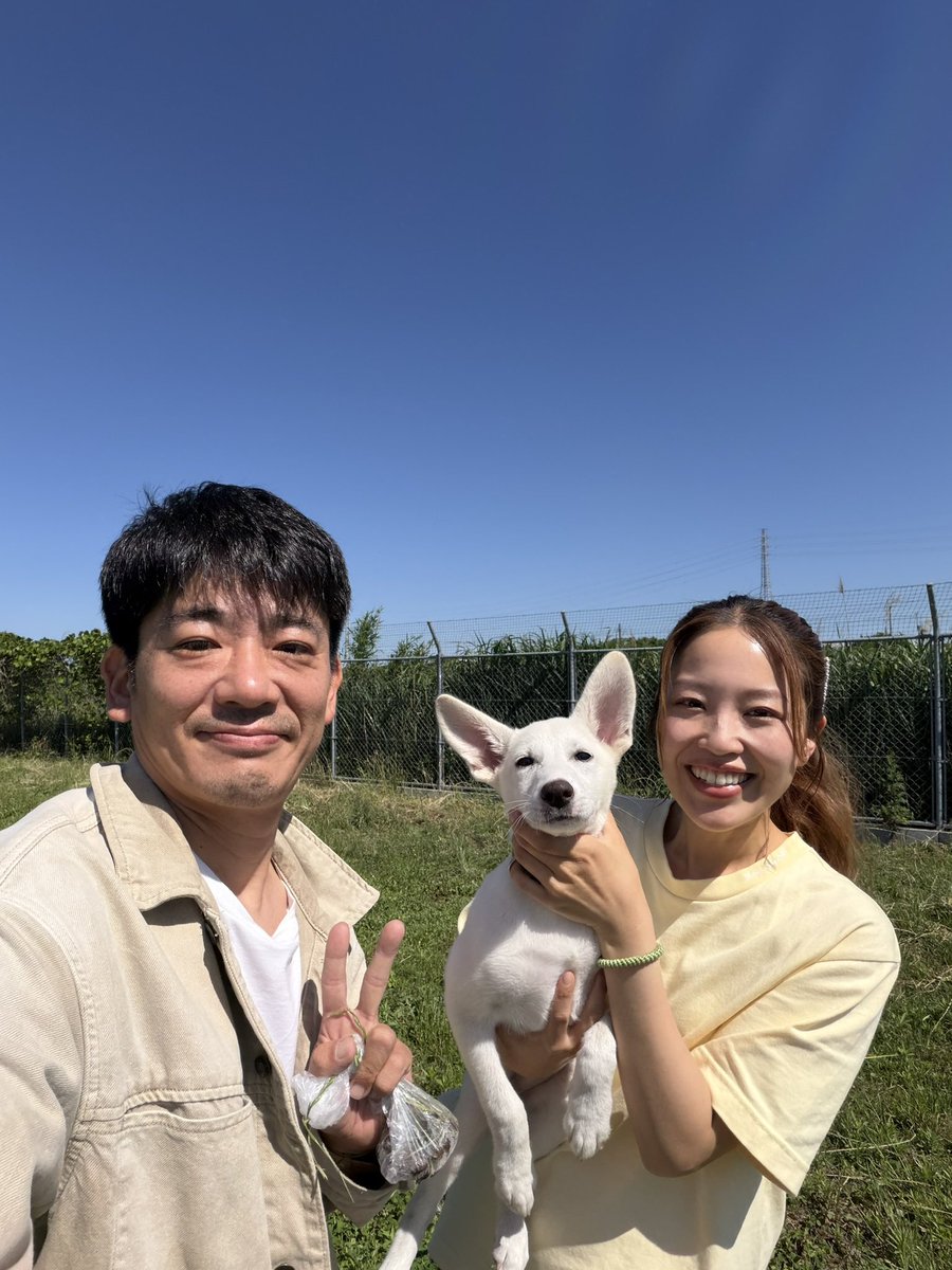 little_mamy_19's tweet photo. 高知からやってきたコジロウ＆ベリー❣️🐶
保護された経緯は、YouTubeで紹介しています✨
https://t.co/Lh7jme7CCJ

久保田先生のところにいたコジロウとベリーは、本当に可愛くてやんちゃで、毎日2人に癒されています🐶
もうすっかりさかがみ家になじんでいます😆 https://t.co/1V9QGfXPcZ