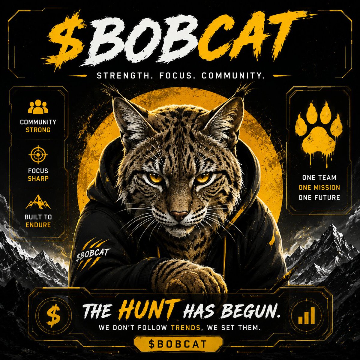 BOB CAT tweet media