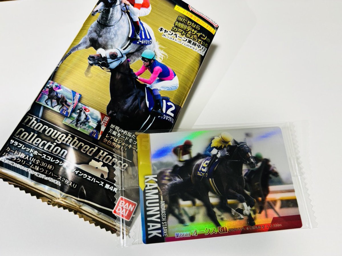 香港国際競馬コレクション 4枚セット 噂のサラブレッドホースコレクション 第4R買ってみた👀 カムニャック