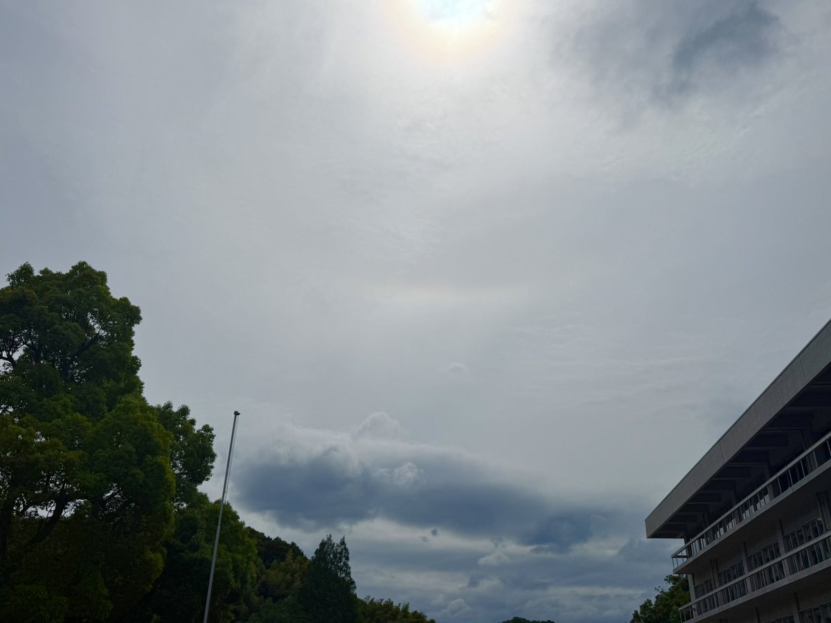 Minami0206S's tweet photo. 下部 https://t.co/9ww0dMliHE