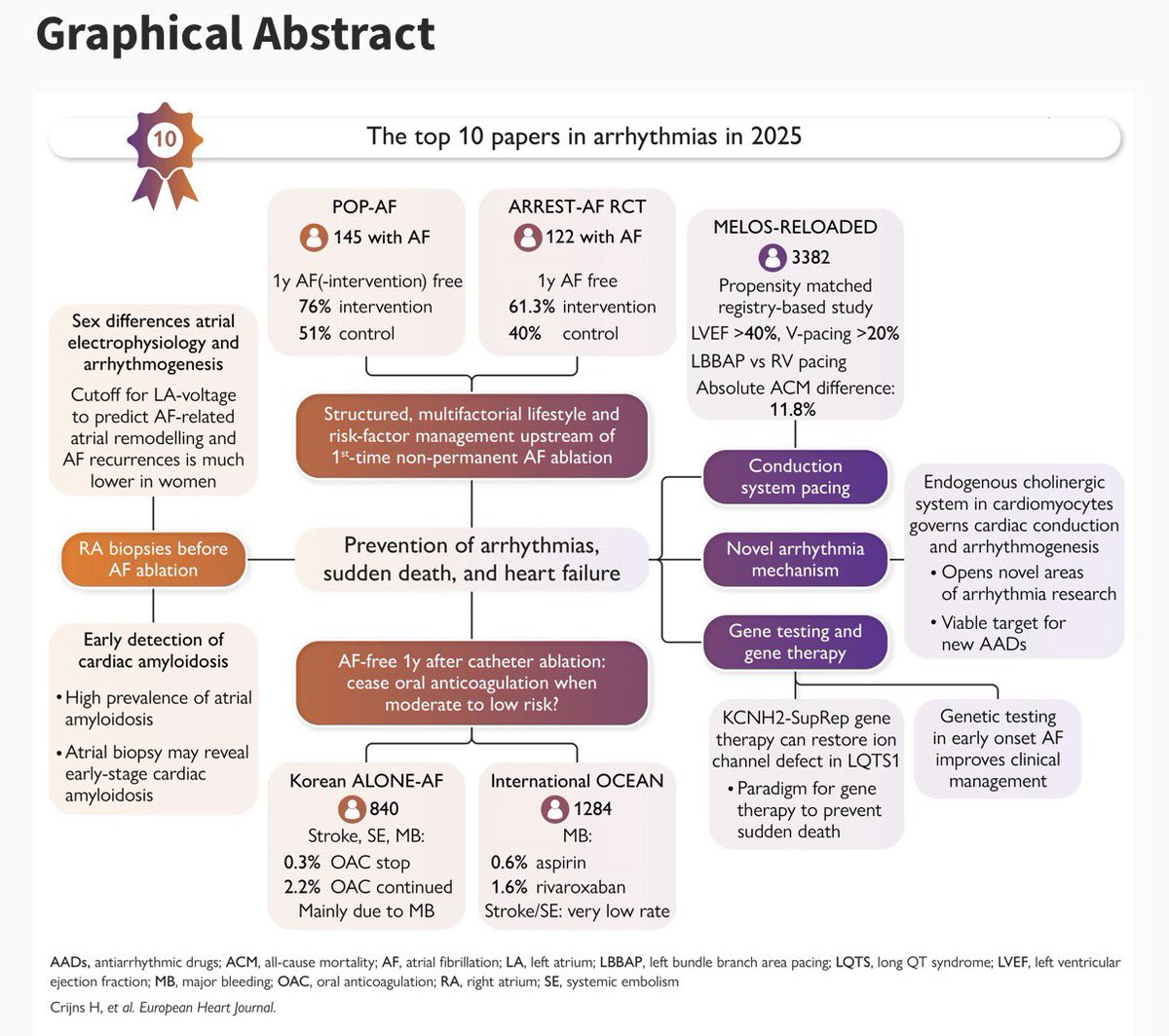 jpcostabel's tweet photo. The year in cardiovascular medicine 2025: the top 10 papers in arrhythmias🍾🍾🍾 https://t.co/lXfup78VjI