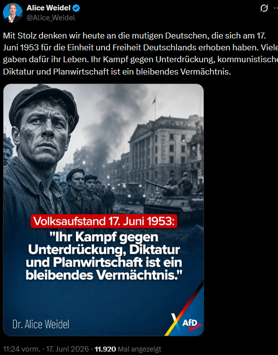 Linksgrünversiffter Waschbär tweet media