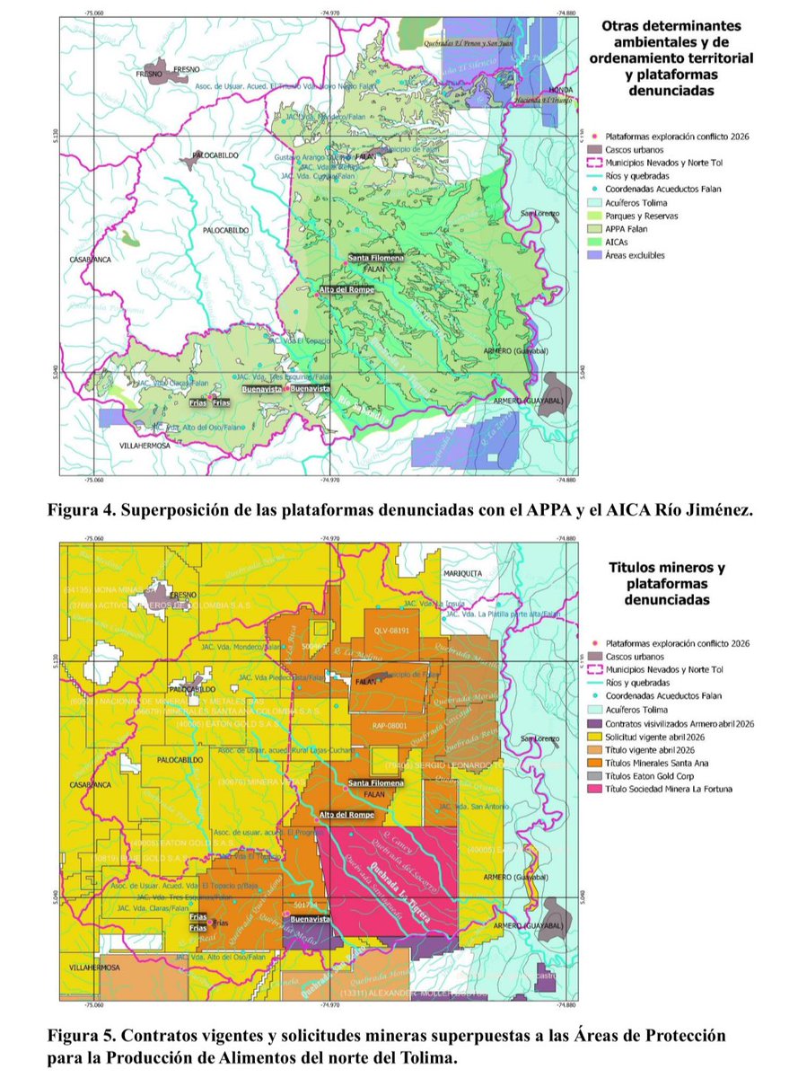 RuraliaUrbana's tweet photo. https://t.co/TWqbgyDYFW
... CÓDIGO DE MINAS (ANM)             
"Norma laxa pero vigente"    Vs.    "Protección de Suelos y Soberanía Alimentaria: RESOLUCIÓN APPA 0052 (MINAGRICULTURA).
Extractivismo de Oficina Vs               Resistencia Civil Campesina !!

EL DETRIMENTO BIOLÓGICO REAL... EL CASO DE LOS ABORTOS BOVINOS Y LA FISCALIZACIÓN DE SOTERRADOS...
La intervención de la @ANMColombia destapó un hecho jurídico y ambiental silenciado por la gran prensa: la existencia de un fallo de tutela con exhorto constitucional contra las autoridades mineras. 
(Extracto de video 1).

Este fallo fue promovido por un campesino parcelero de Falan Tolima que sufrió un detrimento patrimonial directo: sus vacas abortaron a causa del estrés hídrico, las vibraciones y la contaminación acústica/físico-mecánica provocada por las plataformas de perforación exploratoria de Minerales Santa Ana. 

El juez constitucional ordenó de forma tajante a la ANM y a CORTOLIMA efectuar una fiscalización rigurosa a la luz de la declaratoria de la APPA.

A pesar de esta orden judicial, la comunidad denunció en plena mesa "el juego del gato y el ratón" que practica la multinacional @OCG_Silver mediante su filial @SantaAnaMin con la complicidad de @cortolima. 

Los liderazgos comunitarios reclamaron con vehemencia que la Autoridad Ambiental Regional solo enfoca su discurso en la minería ilegal para desviar la atención.

“¡Solo querían hablar de las acciones contra la minería ilegal! ¿Y qué pasa con el monitoreo de esas plataformas legales? Si cada vez que uno encuentra una afectación, a los tres días se están llevando la plataforma rodante. ¿Entonces qué evidencia van a encontrar?
Nosotros no queremos minería (ni ilegal ni la descontrolada como desaforada bajo "legalidad") sino ejercer actividad campesina agropecuaria y proteger nuestra riqueza hídrica como ecosistémica ”.

El cierre de la jornada dejó al descubierto la burda asimetría del "diálogo social" corporativo. Mientras Minerales Santa Ana S.A.S. movilizó contingentes enteros de trabajadores y personas pagadas en buses para copar el recinto y simular un apoyo comunitario masivo, el campesinado debió romper los cercos con sus propios medios. 
(Extracto de video 2)

“Es jodido... mientras ellos tienen para traer no sé cuántas personas en un bus, nosotros lo único que tenemos es llegar temprano. Y gracias a que madrugamos, pudimos estar en la mesa directiva defendiendo el territorio”.

La comunidad se niega a que la Alcaldía y la ANM democraticen el daño ambiental a través de falsos "acuerdos sociales".

HACIA UNA CUARTA MESA SIN EL CONTROL MULTINACIONAL !!
Dado el fracaso total de esta sesión manipulada por la Alcaldía de Falan y los delegados mineros, el campesinado organizado e investigadores han anunciado que desconocen las actas de claudicación que pretendieron hacerles firmar.

La exigencia inmediata es la convocatoria a una Cuarta Mesa Interinstitucional pero en Falan Tolima y bajo una condición innegociable: no será controlada ni por la alcaldía ni por la empresa minera. Por tanto se exige presencia de Entes de Control @PGN_COL y de la @DefensoriaCol pero ante todo la presencia directa del @MinAmbienteCo como del Ministerio de Agricultura para que hagan valer las determinantes ambientales sobre los suelo rurales protegidos, y conmine a la ANM como a su @MinEnergiaCo a respetar la vocación cafetera, panelera y biodiversa de un norte del Tolima que ha decretado que el agua vale más que el oro y plata de los escritorios transnacionales.
@RELE_CIDH