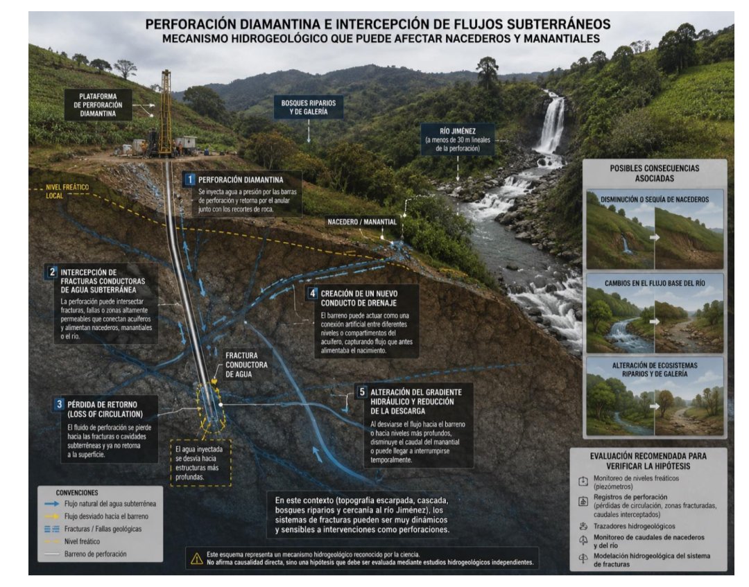 RuraliaUrbana's tweet photo. https://t.co/TWqbgyDYFW
... CÓDIGO DE MINAS (ANM)             
"Norma laxa pero vigente"    Vs.    "Protección de Suelos y Soberanía Alimentaria: RESOLUCIÓN APPA 0052 (MINAGRICULTURA).
Extractivismo de Oficina Vs               Resistencia Civil Campesina !!

EL DETRIMENTO BIOLÓGICO REAL... EL CASO DE LOS ABORTOS BOVINOS Y LA FISCALIZACIÓN DE SOTERRADOS...
La intervención de la @ANMColombia destapó un hecho jurídico y ambiental silenciado por la gran prensa: la existencia de un fallo de tutela con exhorto constitucional contra las autoridades mineras. 
(Extracto de video 1).

Este fallo fue promovido por un campesino parcelero de Falan Tolima que sufrió un detrimento patrimonial directo: sus vacas abortaron a causa del estrés hídrico, las vibraciones y la contaminación acústica/físico-mecánica provocada por las plataformas de perforación exploratoria de Minerales Santa Ana. 

El juez constitucional ordenó de forma tajante a la ANM y a CORTOLIMA efectuar una fiscalización rigurosa a la luz de la declaratoria de la APPA.

A pesar de esta orden judicial, la comunidad denunció en plena mesa "el juego del gato y el ratón" que practica la multinacional @OCG_Silver mediante su filial @SantaAnaMin con la complicidad de @cortolima. 

Los liderazgos comunitarios reclamaron con vehemencia que la Autoridad Ambiental Regional solo enfoca su discurso en la minería ilegal para desviar la atención.

“¡Solo querían hablar de las acciones contra la minería ilegal! ¿Y qué pasa con el monitoreo de esas plataformas legales? Si cada vez que uno encuentra una afectación, a los tres días se están llevando la plataforma rodante. ¿Entonces qué evidencia van a encontrar?
Nosotros no queremos minería (ni ilegal ni la descontrolada como desaforada bajo "legalidad") sino ejercer actividad campesina agropecuaria y proteger nuestra riqueza hídrica como ecosistémica ”.

El cierre de la jornada dejó al descubierto la burda asimetría del "diálogo social" corporativo. Mientras Minerales Santa Ana S.A.S. movilizó contingentes enteros de trabajadores y personas pagadas en buses para copar el recinto y simular un apoyo comunitario masivo, el campesinado debió romper los cercos con sus propios medios. 
(Extracto de video 2)

“Es jodido... mientras ellos tienen para traer no sé cuántas personas en un bus, nosotros lo único que tenemos es llegar temprano. Y gracias a que madrugamos, pudimos estar en la mesa directiva defendiendo el territorio”.

La comunidad se niega a que la Alcaldía y la ANM democraticen el daño ambiental a través de falsos "acuerdos sociales".

HACIA UNA CUARTA MESA SIN EL CONTROL MULTINACIONAL !!
Dado el fracaso total de esta sesión manipulada por la Alcaldía de Falan y los delegados mineros, el campesinado organizado e investigadores han anunciado que desconocen las actas de claudicación que pretendieron hacerles firmar.

La exigencia inmediata es la convocatoria a una Cuarta Mesa Interinstitucional pero en Falan Tolima y bajo una condición innegociable: no será controlada ni por la alcaldía ni por la empresa minera. Por tanto se exige presencia de Entes de Control @PGN_COL y de la @DefensoriaCol pero ante todo la presencia directa del @MinAmbienteCo como del Ministerio de Agricultura para que hagan valer las determinantes ambientales sobre los suelo rurales protegidos, y conmine a la ANM como a su @MinEnergiaCo a respetar la vocación cafetera, panelera y biodiversa de un norte del Tolima que ha decretado que el agua vale más que el oro y plata de los escritorios transnacionales.
@RELE_CIDH
