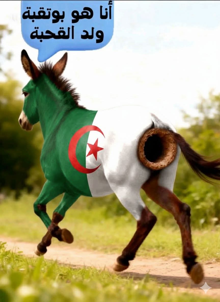 AbdoOne2022's tweet photo. @Chaima_bouzit98 @AJArabic جمعي سوتك 😂😂 https://t.co/8c0svixtb9