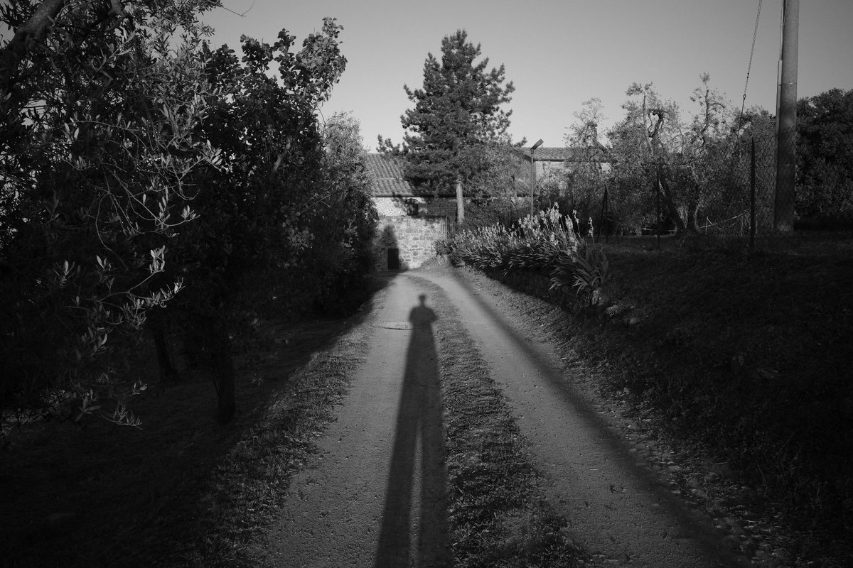 from_exp's tweet photo. Montalcino.
Before the day begins. https://t.co/V8ViiGPHuQ