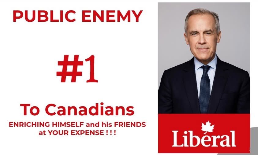 K. Tagseth 🇨🇦 tweet media