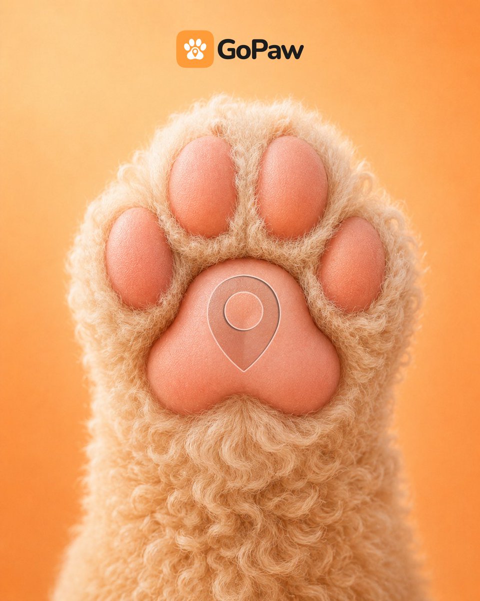 GoPawOfficial's tweet photo. Every furry paw pad comes with its own unique location tag #GoPaw is Hong Kong’s map made for you and your furry companions! 🐾✨

Find pet-friendly spots, host & join pet events, meet fellow pet parents, chat and share everything pet-related, all in one single app.
 
Explore your little world together with your fur babies! 🏠