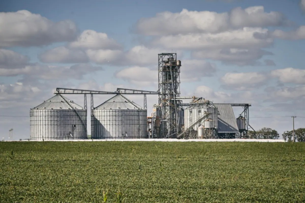 bertellof's tweet photo. El Estado se lleva con impuestos el 61,9% de lo que genera una hectárea agrícola https://t.co/rQlA0cXUCv https://t.co/ucpWWrILNS