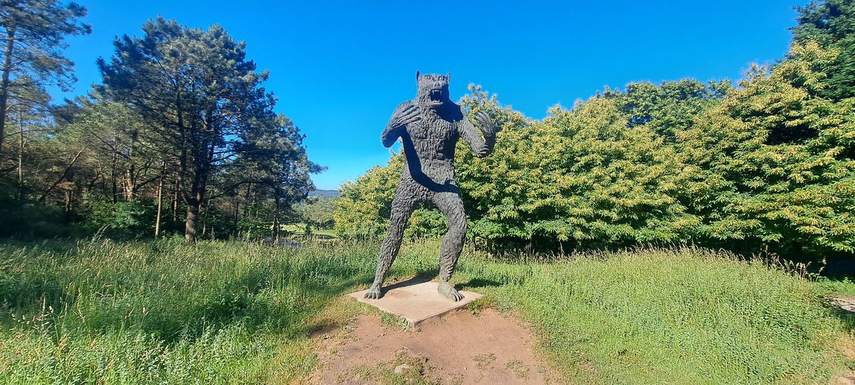 ClontarfTimes1's tweet photo. Be careful in those Galician forests...
#Galicia #NotClontarf https://t.co/NXmiYDvBay