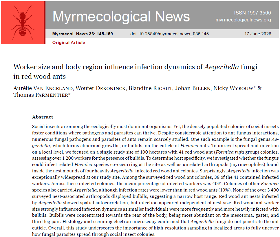 MyrmecolNews's tweet photo. 🆕Article: "Worker size and body region influence infection dynamics of 𝐴𝑒𝑔𝑒𝑟𝑖𝑡𝑒𝑙𝑙𝑎 fungi in red wood ants" Van Engeland, A., Dekoninck, W., Rigaut, B., Billen, J., Wybouw, N. &amp; Parmentier, T.
https://t.co/CGG67phsWx https://t.co/X83Ir0QcaJ